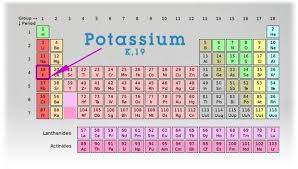 Potassium Is In Group 1 Period 4 Periodic Table Science Classroom Elements