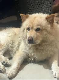 plss help nadula ni sya loc. lacastellana