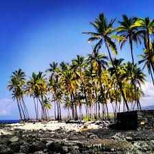 Kona Hawaii This Pic Looks Like The Private Beach We Where Married At It Was Amazing Hawaii Beach Happy Places