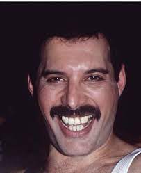 Though his teeth became one of his defining traits. It Can Be Empty Freddie Mercury I Have Friends In The Music Business And I Like Freddie Mercury Teeth Queen Freddie Mercury Freddie Mercury