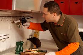 Jel Ilaclama Hamam Bocekleri Icin Etkili Midir Teknikturk