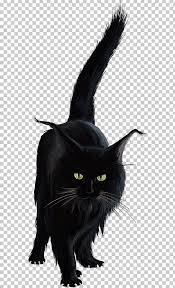 Bombay Cat Black Cat Norwegian Forest Cat Kitten Png Clipart Anim Animal Animals Black Carnivora Black Cat Anime Black Cat Drawing Black Cat Illustration