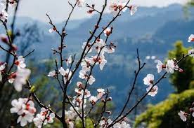 Free Desktop Wallpapers Wallpaper Desktop Wallpaper Full Hd Wallpapers For Pc Super Computer Desktop Wallpaper Desktop Wallpaper Macbook Wallpaper Pc