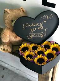 Relacion Quieres Ser Mi Novia Ideas De Regalos De Manualidades Regalo Para Novia Manualidades