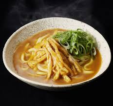 九条葱ときざみ揚げのカレーうどん | うどん・そば | 冨美家オンラインショップ