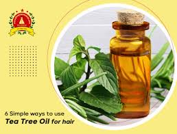 You can add various ingredients to this essential oil to create the perfect hair growth 4. 6 Simple Ways To Use Tea Tree Oil For Hair Floral Essential Oils