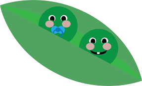 Download Plant Leaf Frog Png Clipart Royalty Free Svg Png