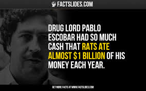 Money Facts 27 Facts About Money You Didn T Know Factslides Escobar Quotes Pablo Escobar Quotes Pablo Escobar