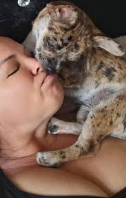 When Dad gives you the good cuddles.