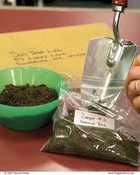 Soil Testing Is Worth The Effort Finegardening Soil Testing Fine Gardening Soil