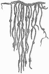 The introduction of the latin alphabet, the incas lacked a written language. Quipu Wikipedia