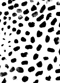Black And White Photo Prints Pin By Ella Weigert On Patterns Black And White Posters Black And White Wallpaper Black And White Illustration