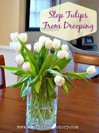4 Tricks To Keep Tulips In A Vase From Drooping Tulips In Vase Tulips Arrangement Flower Arrangements