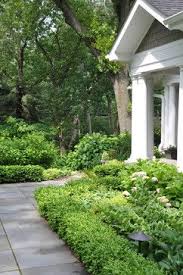 Dwarf English Boxwood Design Ideas Pictures Remodel And Decor Page 12 Traditional Landscape Lawn And Garden Landscape Design