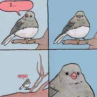 Annoyed Bird Know Your Meme