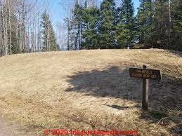 We did not find results for: Safe Planting Trees Or Shrubs Near Septic Or Sewer Lines