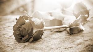 Die engsten freunde, mickenbeckers freundin janet und die familie hätten die letzten minuten bei ihm im krankenhauszimmer verbracht. Philipp Mickenbecker Details Zur Beerdigung Bekannt So Verabschieden Sich Die Freunde Des Youtubers News De