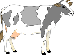 Download Free Cow Clipart Pictures Clipartix
