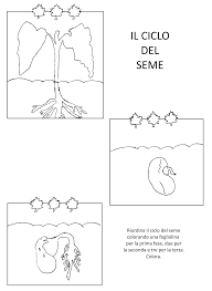 Blog Scuola Schede Didattiche Scuola Dell Infanzia La Maestra Linda Schede Didattiche Da Scaricare Scienza Per Bambini Le Idee Della Scuola Scienza