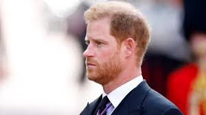 Queen funeral: Edwina Bartholomew argues Prince Harry must reconcile now  for kids