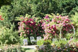 In der nähe in münchen. Gartenreise Westpark Munchen Gartenblog Geniesser Garten Muenchen Westpark Bayerwaldhaus Der Westpark En Chinesischer Garten Pflanzen Botanischer Garten