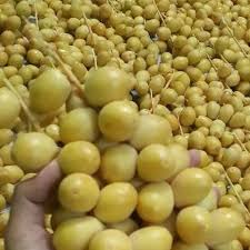 Hasil gambar untuk kurma muda di karawang