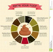 stool chart stock illustrations 42 stool chart stock