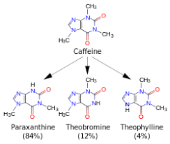 A Diagram Featuring 4 Skeletal Chemical Formulas Top Caffeine Relates To Similar Compounds Paraxanthine Theobrom Caffeine Caffeine Effects Chemical Formula