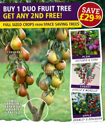 Fruit trees can be planted any time of year as long as the soil is not frozen and the temperatures have not reached their peak heat. Lead The Good Life Duo Fruit Trees Buy One Add Any Second Free Milled