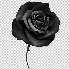 Grey ink small rose wrist tattoo design for couples. Black Rose Cover Up Tattoo Desktop Png Clipart Black Blackandgray Black And White Color Coverup Free
