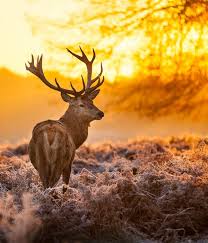Denumirile si sediile agentiilor de turism organizatoare si ale societatilor de asigurari, daca este cazul; Tour Side Thumbnail With Frame Right Sidebar Agentie De Turism