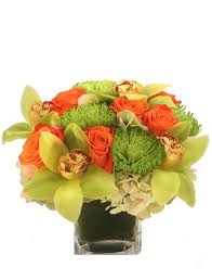 Check spelling or type a new query. Gibsonia Flowers Gibsoniaflowers Profile Pinterest