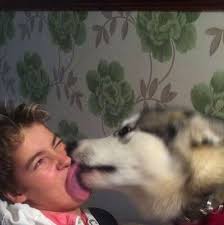 Prestige A3 printer printhead issue after replacement?