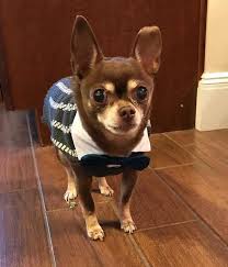 We did not find results for: Furry Friends Foster And Rescue Inc