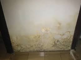 The more we're exposed to it the worse it. 5 Ways To Eliminate Rising And Penetrating Damp In Homes
