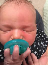 Image result for Harlequin Color Change