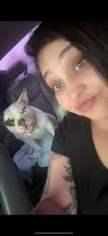 Quad Cities Lost and Found Pets