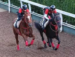 Maybe you would like to learn more about one of these? 68 2bf438ryt6m