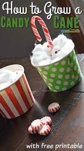 How To Grow A Candy Cane Activity With Free Printable