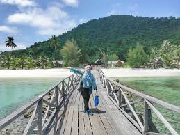 Di sini juga terdapat fasiliti selam skuba yang cukup untuk meneroka perairan mersing yang kaya dengan hidupan marin serta pelbagai jenis ikan. Travel Keindahan Bercuti Di Kepulauan Mersing Johor Ieyra Com