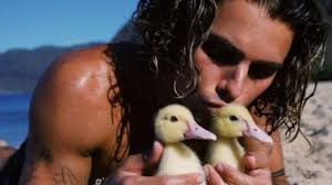 Contact jay alvarrez on messenger. Pepqtescdlpfpm