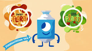 T his vegan version of dairy is deliciously similar to the real thing. Perfect Day Gmo Alternative Dairy Process Youtube
