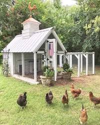 Pin By Luisa Arce On Chickens In 2020 Backyard Chicken Coop Plans Chicken Garden Cute Chicken Coops