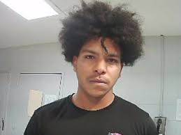 7, including juveniles, arrested in rash of burglaries in county