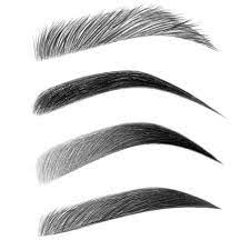 Imagen Descubierto Por Niklaus Descubre Y Guarda Tus Propias Imagenes Y Videos En We Heart It In 2020 How To Draw Eyebrows Eyebrows Sketch Eyebrow Shaping