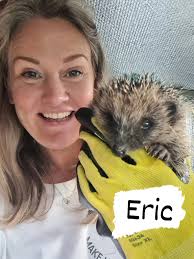 I have 3 juveniles in foster with me at the moment, Spike (who Heidi  Tickner rescued a few weeks back) and now brothers Eric and Ernie. Ernie is  a bit more camera