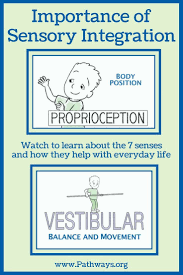 Watch The Importance Of Sensory Integration Pathways Org Sensory Integration Sensory Integration Activities Sensory Disorder