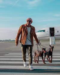 Discover (and save!) your own pins on pinterest Memphis Depay On Twitter Introducing The New Additions To The Family Drako And Kleo What Is Your Favourite Breed Of Dogs