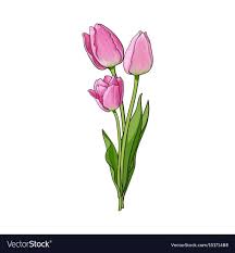Hand Drawn Bunch Of Three Side View Pink Tulip Flower Sketch Style Vector Illustration Isolated O Bunch Of Flowers Drawing Tulips Art Flower Drawing Tutorials