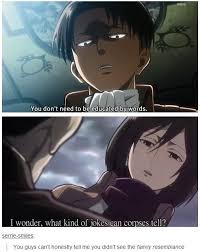 Family Resemblance Levi Mikasa Snk Aot Attack On Titan Funny Attack On Titan Anime Attack On Titan Art